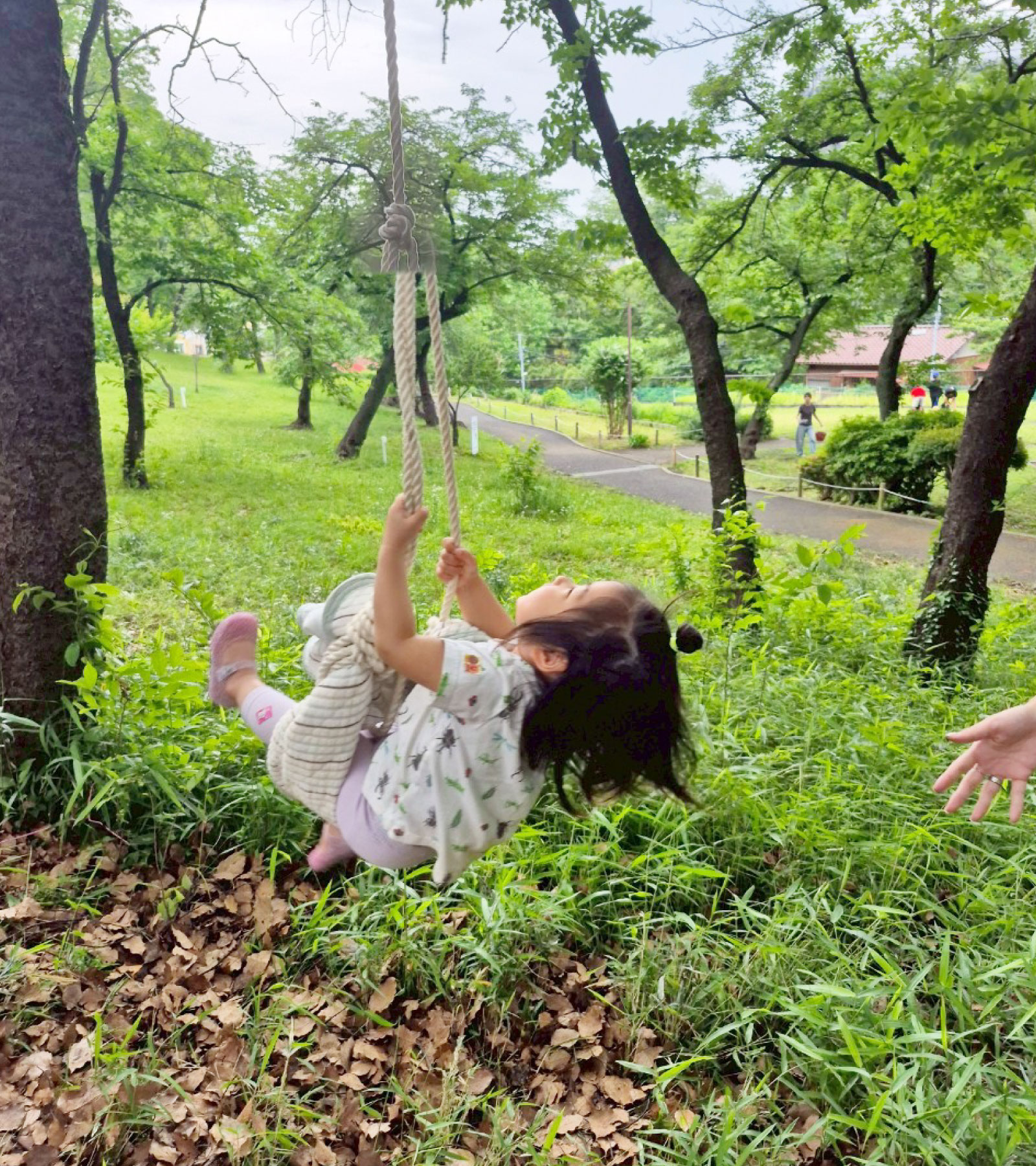 こどもたちの憧れ「ターザンブランコ」