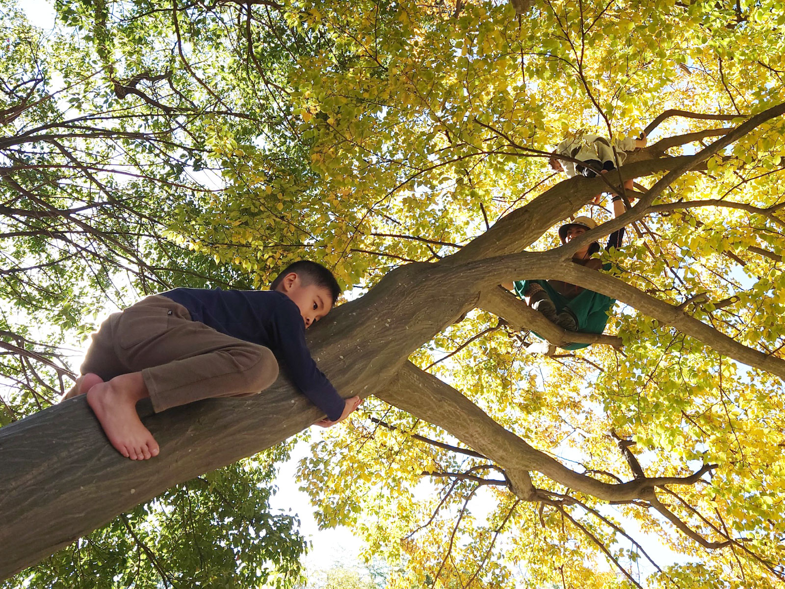 キービジュアル