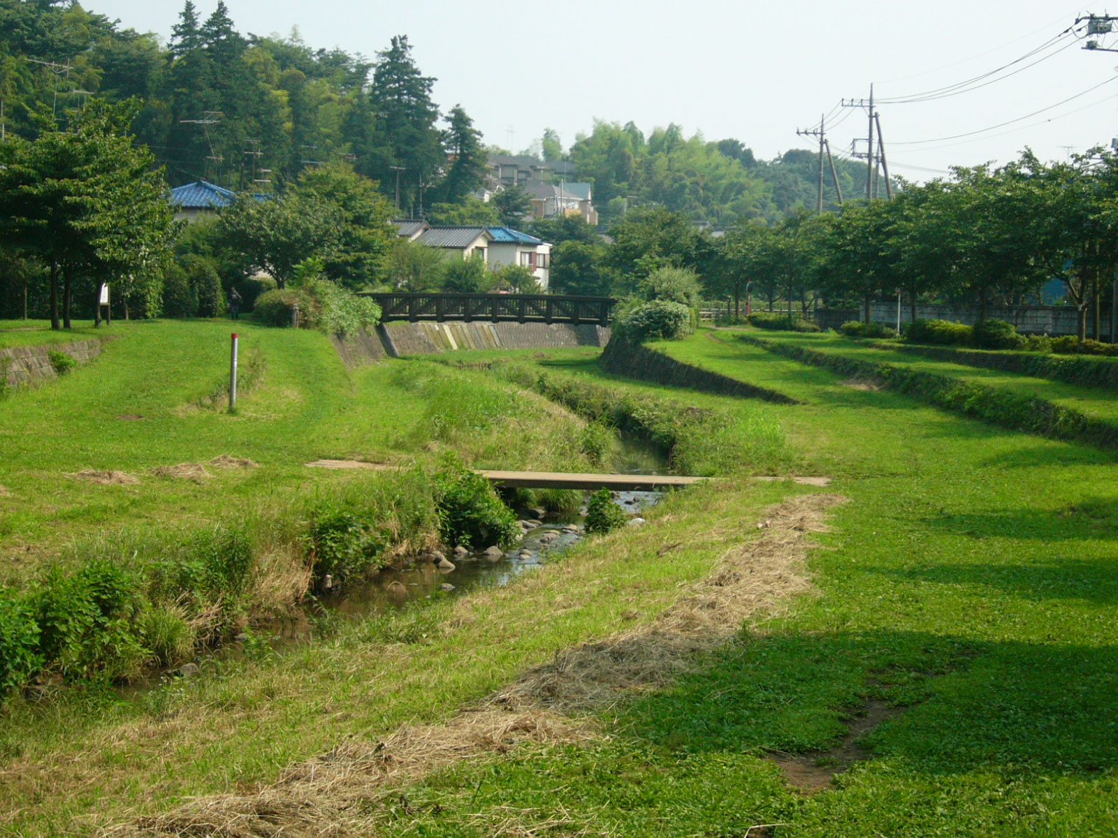 東山の水辺（瀬谷区）