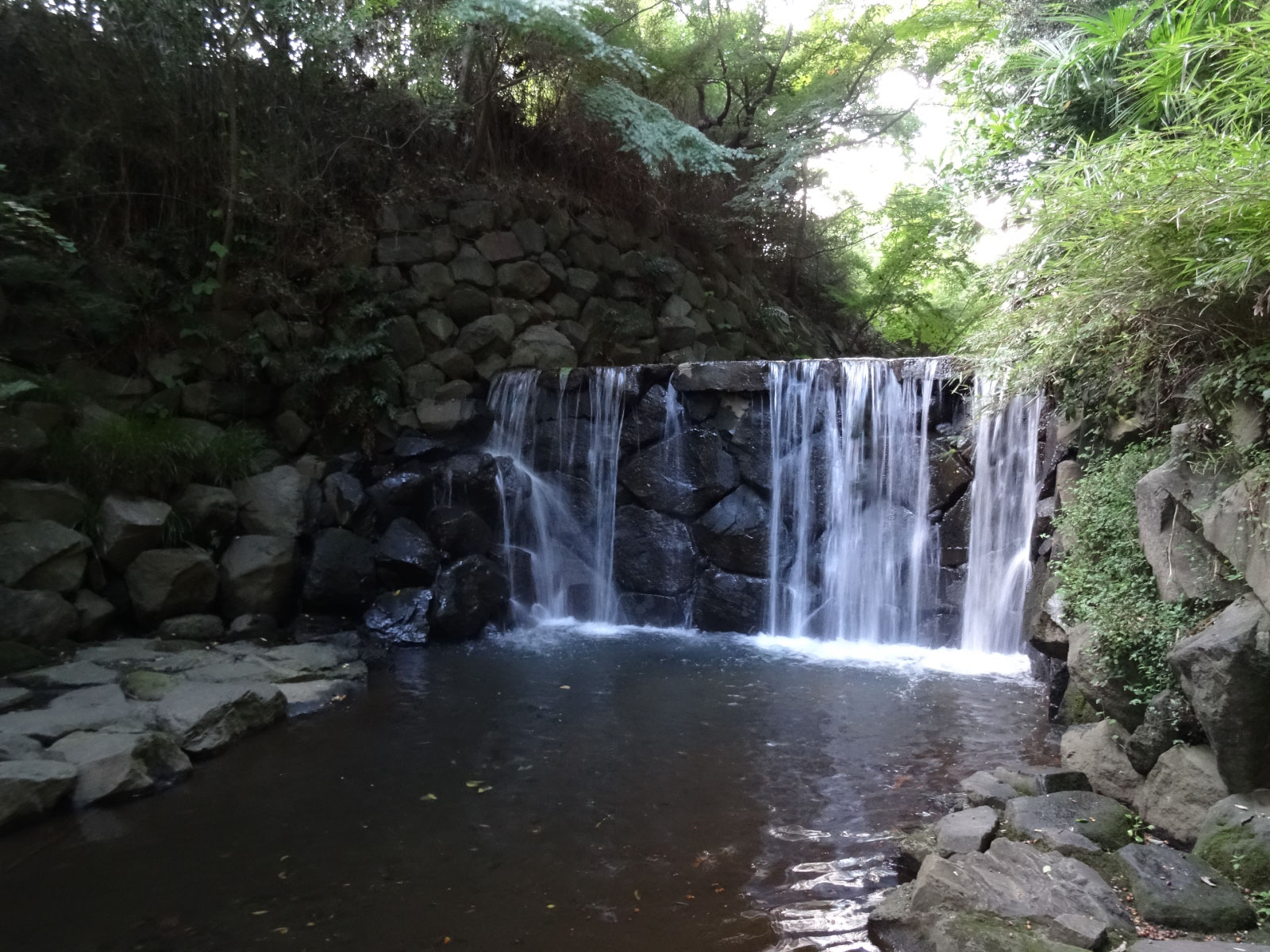 白糸の滝付近（旭区）