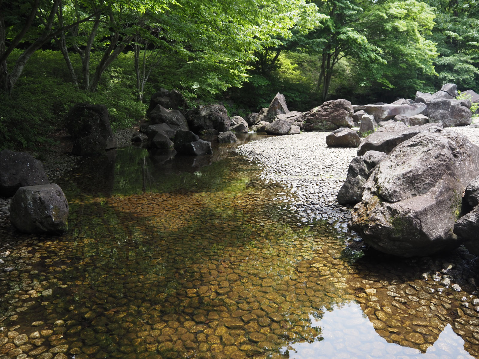 大きな 岩にのぼって遊ぶのも楽しそう!