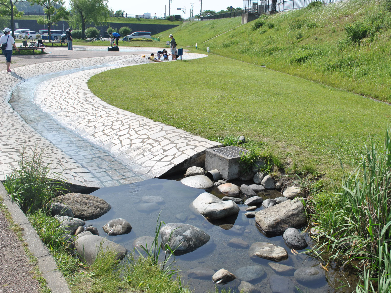 噴水から続く水路の先には小魚もいます!