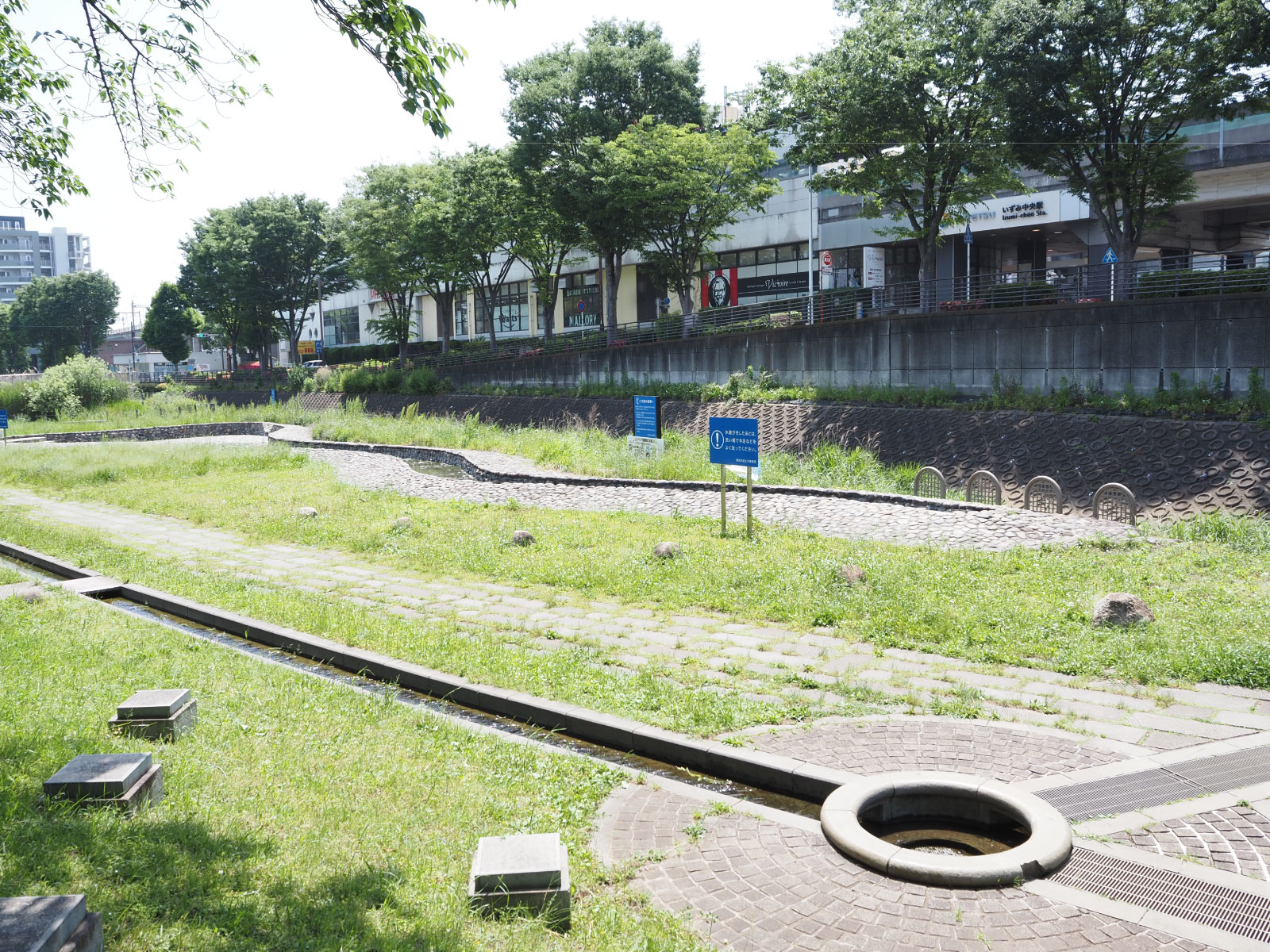 いずみ中央駅の目の前に広がる「地蔵原水辺」