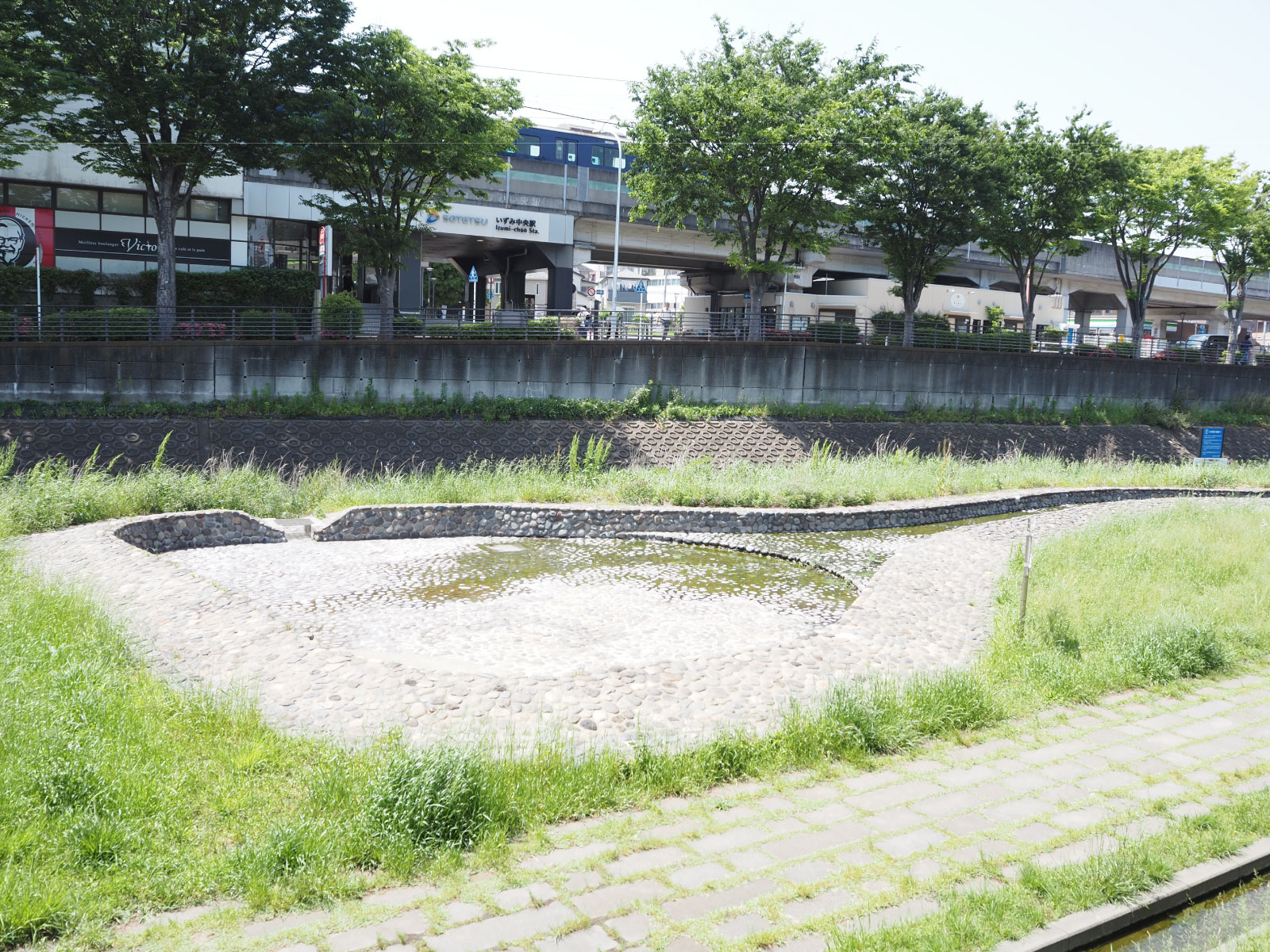 走っていく電車を見ながら水遊びができる