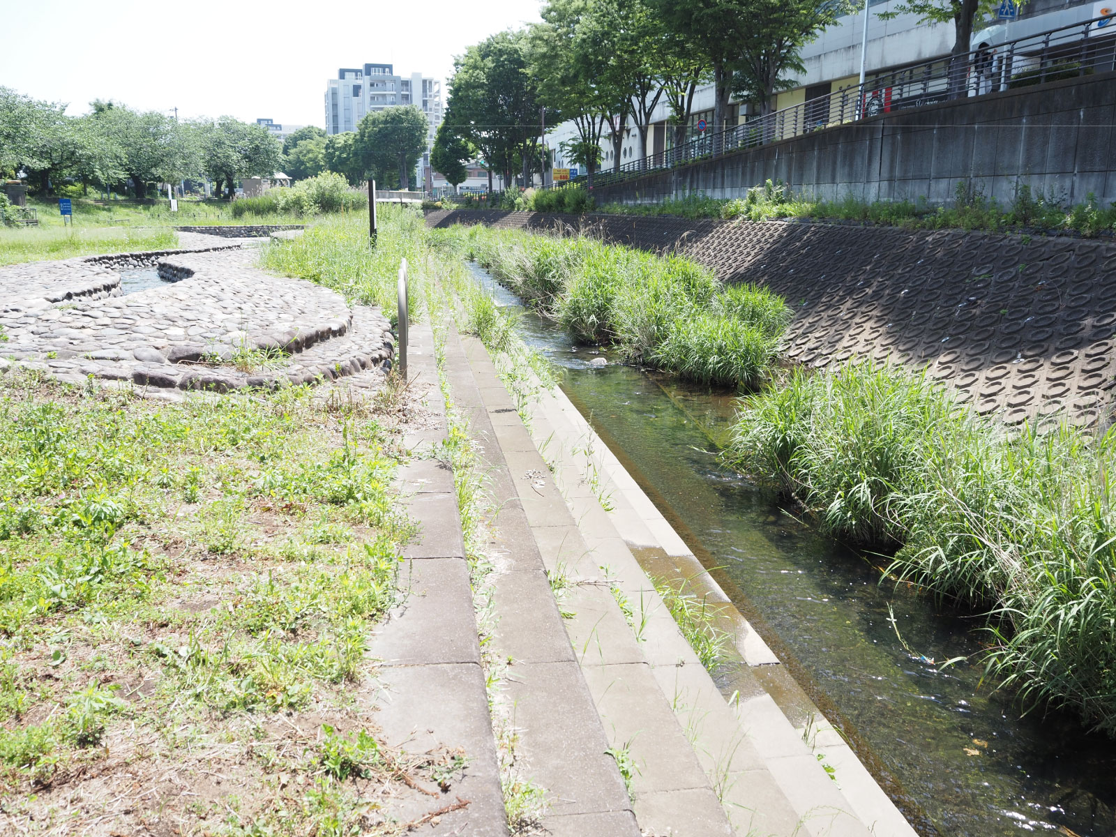 水路沿いには本物の川