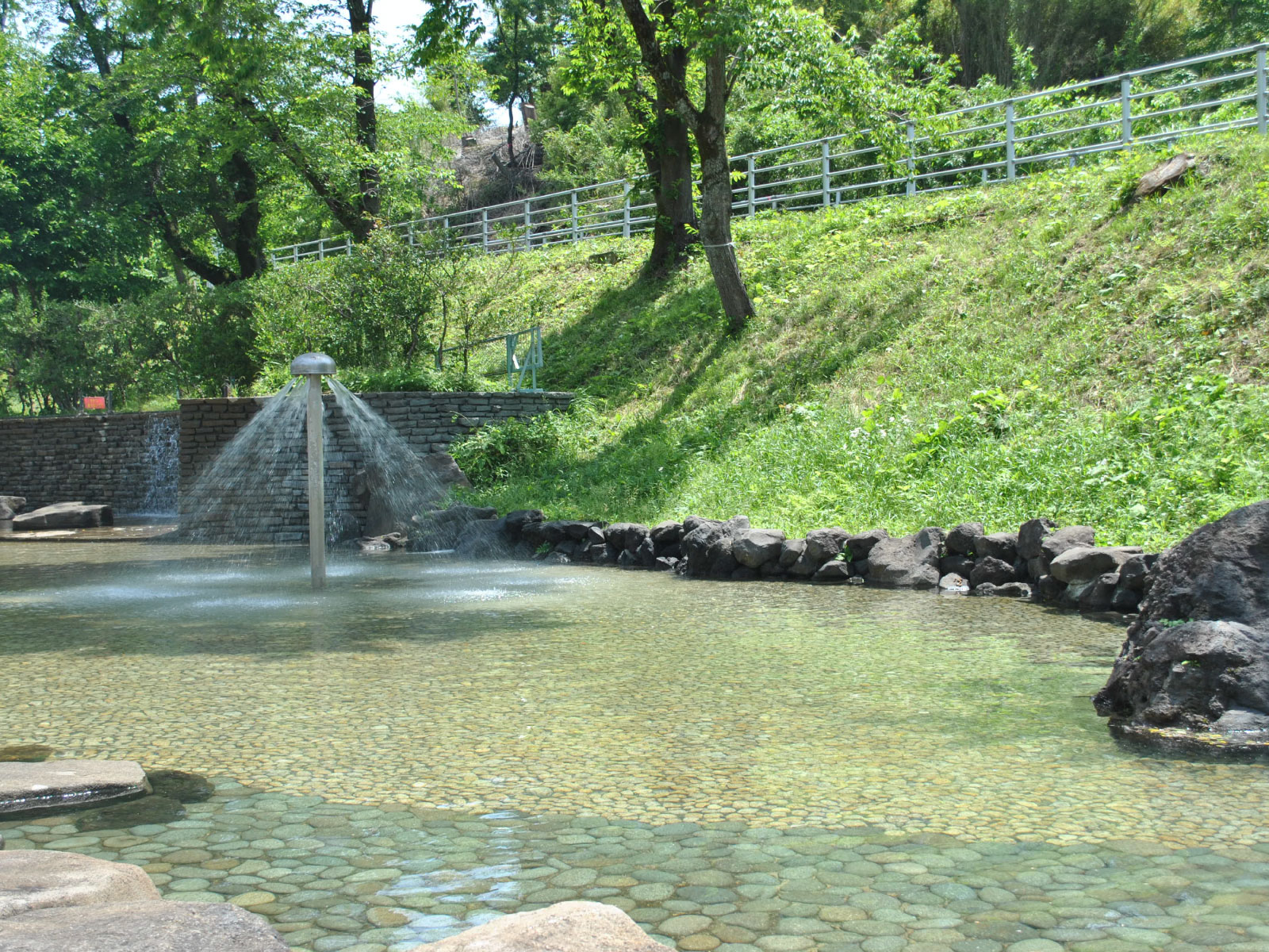 池はとても広々