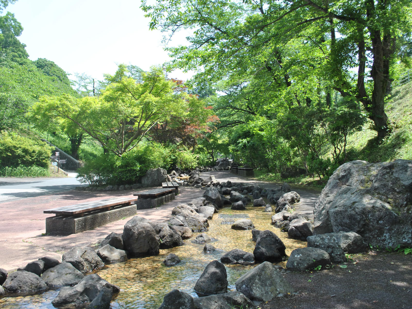 池に続く水路の脇には涼しそうな木陰も
