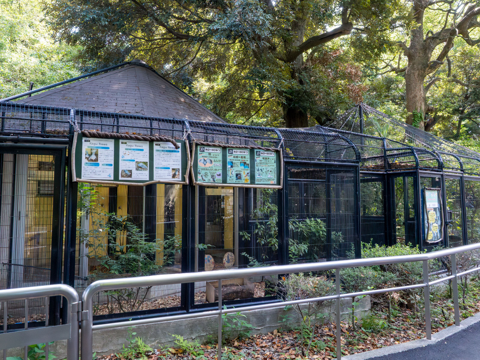 カグーがいる展示場。鳥が奥に隠れていることもあるので、じっくり時間をかけるか、何度かチャレンジすると近くに出ていることがあります。