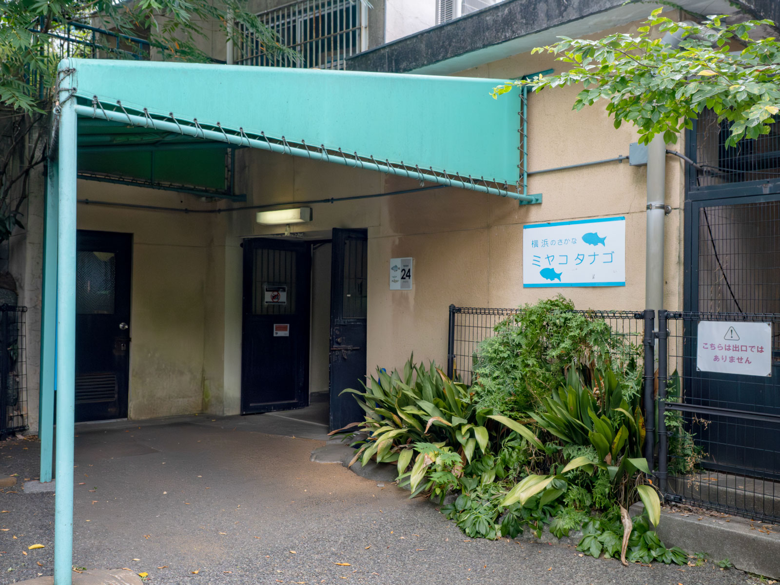 ミヤコタナゴがいる建物。ちょっと地味で目立たないかもしれません。