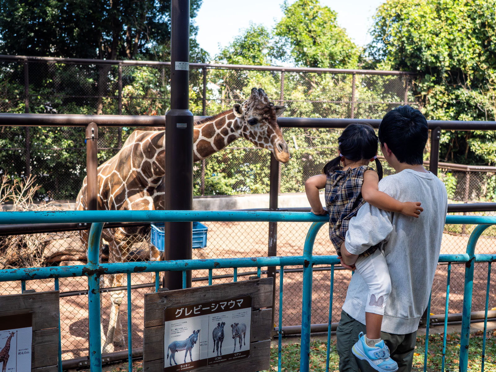 小さなお子様にも動物がよく見えるのが野毛山動物園です。