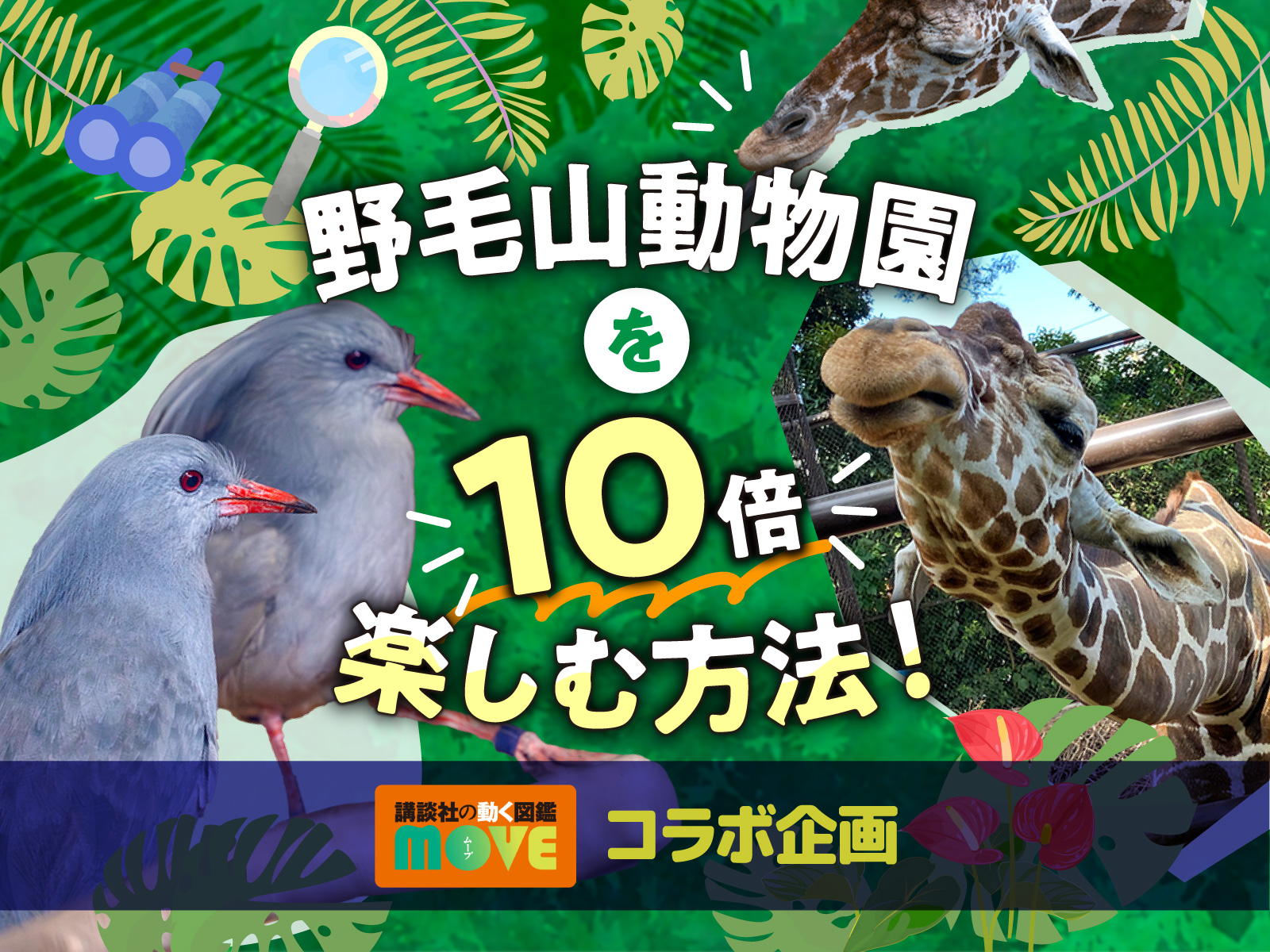 キービジュアル