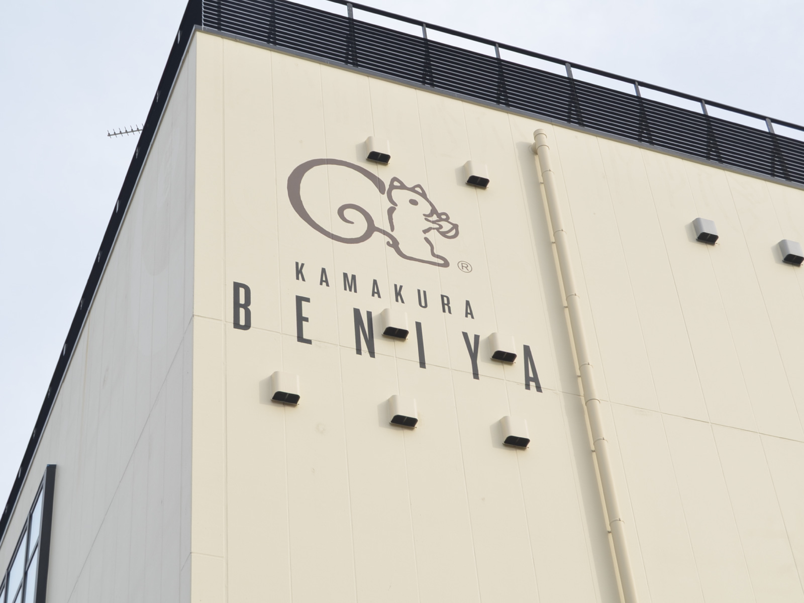 リスくんのロゴマークが目印！