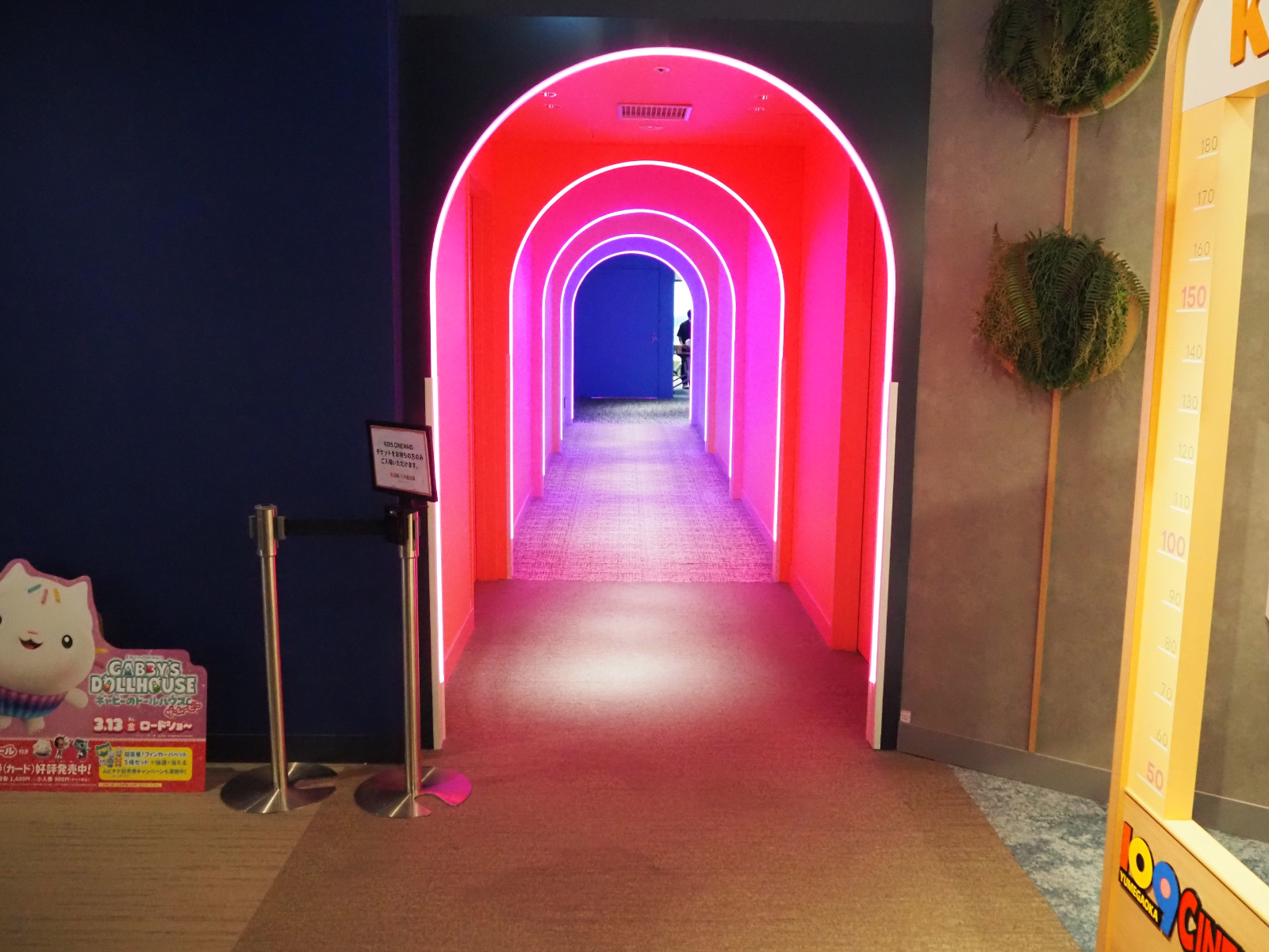 トンネルをくぐる瞬間は、テーマパークに来たようなワクワク感！